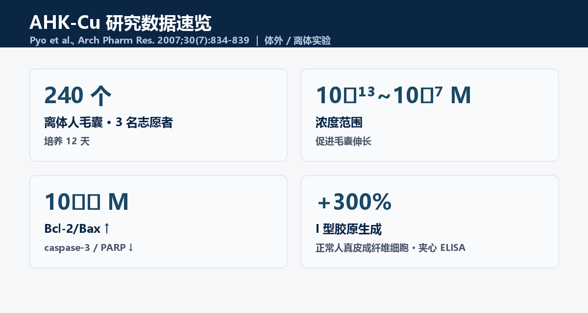 AHK-Cu study data: 240 ex vivo follicles, 10⁻¹³~10⁻⁷M elongation, collagen up 300%