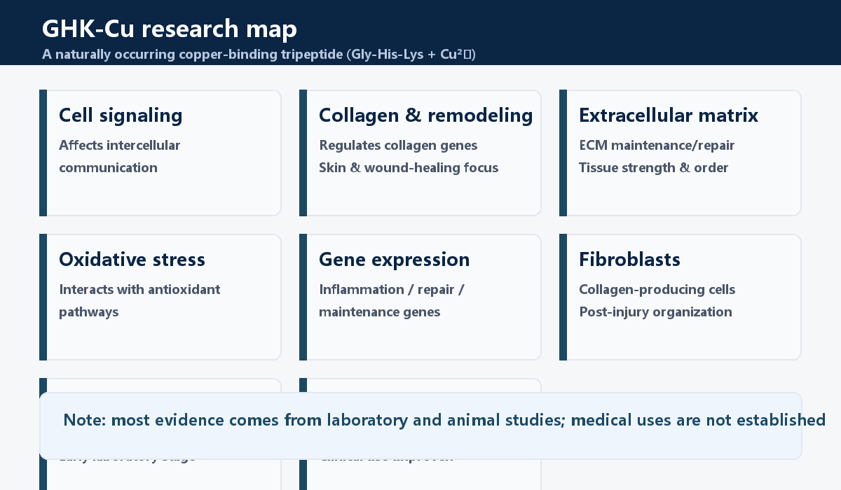 GHK-Cu research map: cell signaling, collagen remodeling, ECM, oxidative stress, gene expression, fibroblasts
